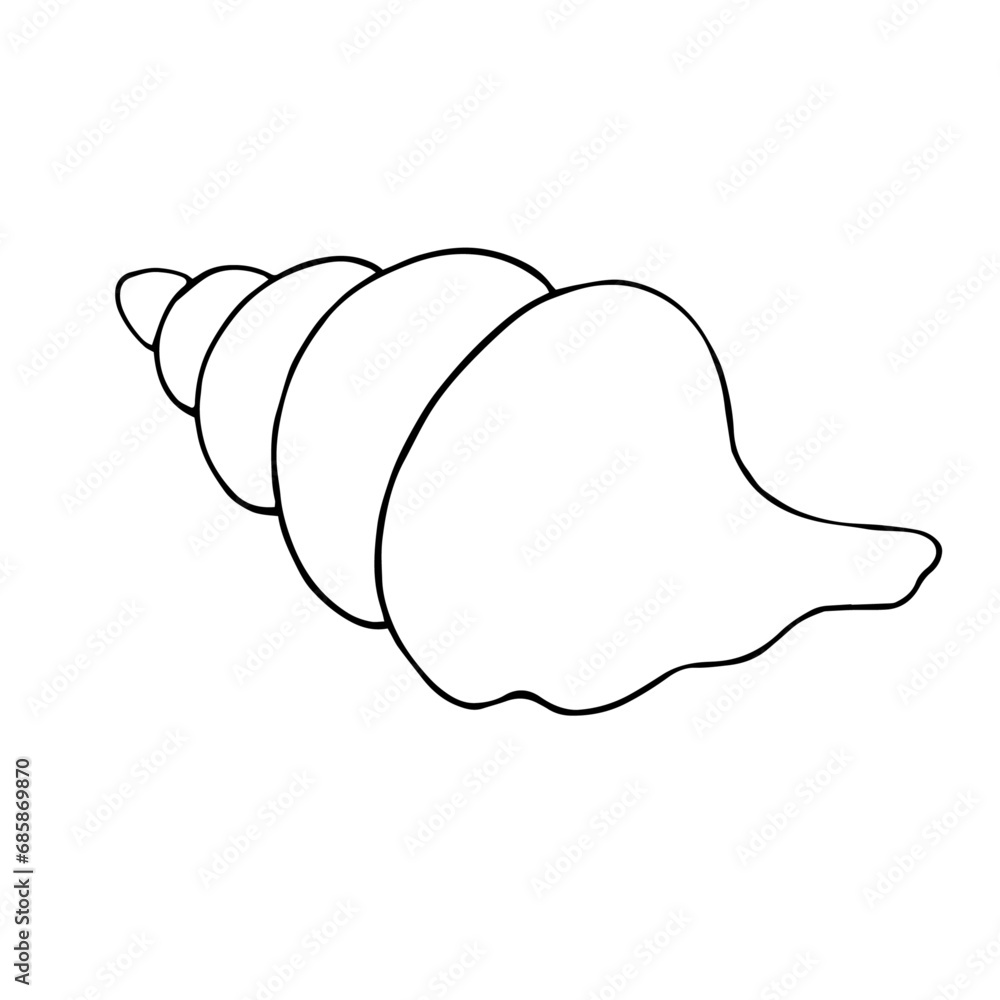 Line sketch, seashell doodle. Decorative vector element. Line sketch, seashell doodle. Decorative vector element.