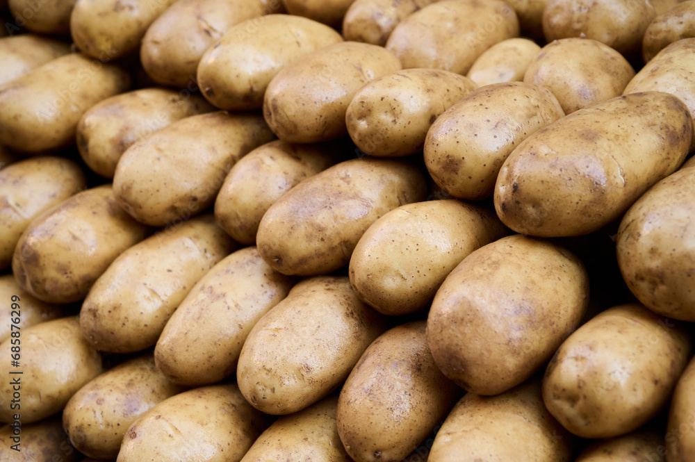 Fresh, clean potatoes on the market stall, closeup, background Fresh, clean potatoes on the market stall, closeup, background