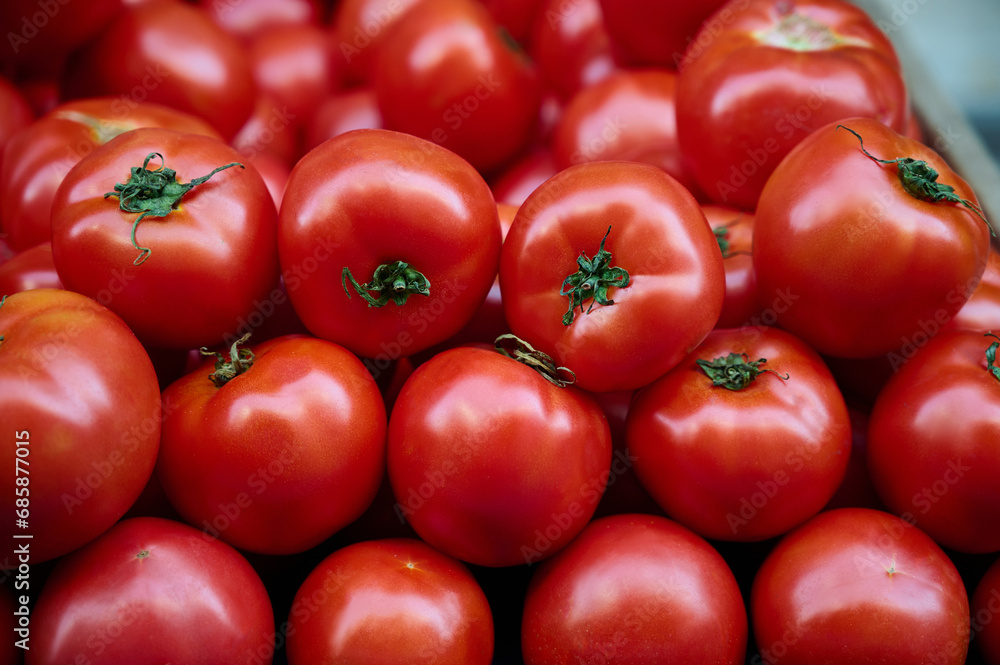 A lot of freshly harvested tomatoes on a market stall, closeup background A lot of freshly harvested tomatoes on a market stall, closeup background