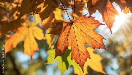 a close up of a leafy tree branch with a blurry background of leaves in the foreground and a leafy tree branch in the background.