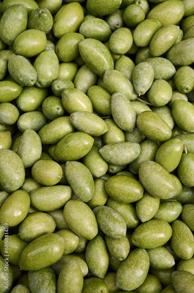 Top down view of freshly harvested, clean and ready to be used green olives, vertical Top down view of freshly harvested, clean and ready to be used green olives, vertical