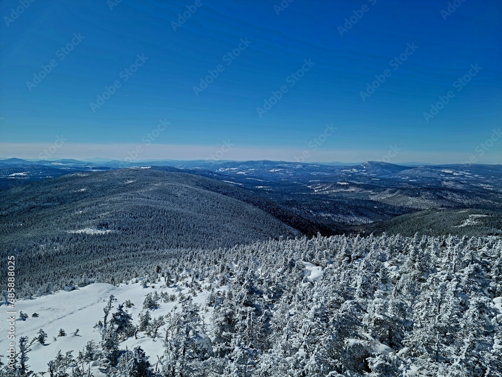Snow-covered forest landscape with sunshine