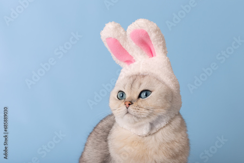 Close up of cute white cat in hat with bunny ears on blue background