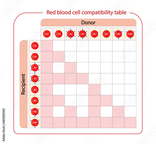 Abo Blood Compatibility Chart. Blood donation, ABO Blood groups droplets., four blood types, A,B, AB and O groups, made up from combinations of the type A and type B antigens. Vector Illustration.
