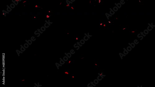 Falling red heart on black background. Confetti hearts overlay animation. 4k, 60fps video.