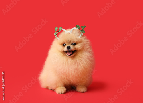 Cute Pomeranian dog in decorative eyeglasses celebrating Christmas on red background