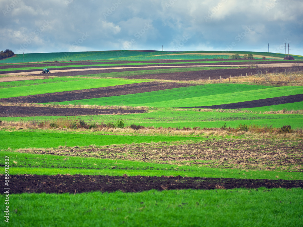 Obraz premium farm landscape with green fields and geometric lines from green wheat and ground