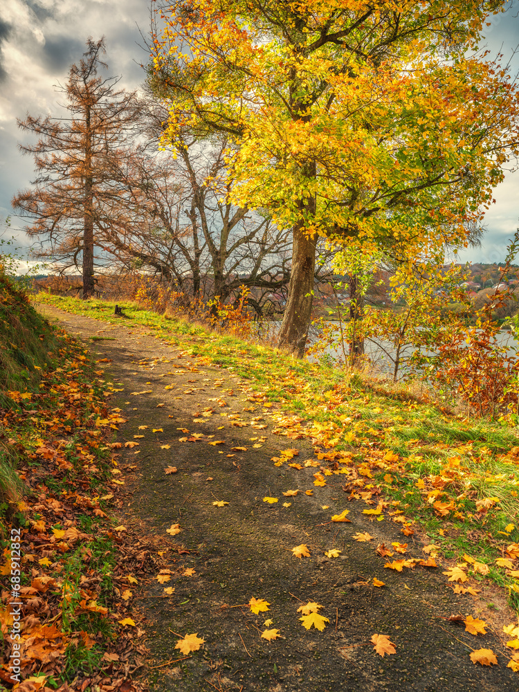 Naklejka premium pathway in park with trees with yellow leaves