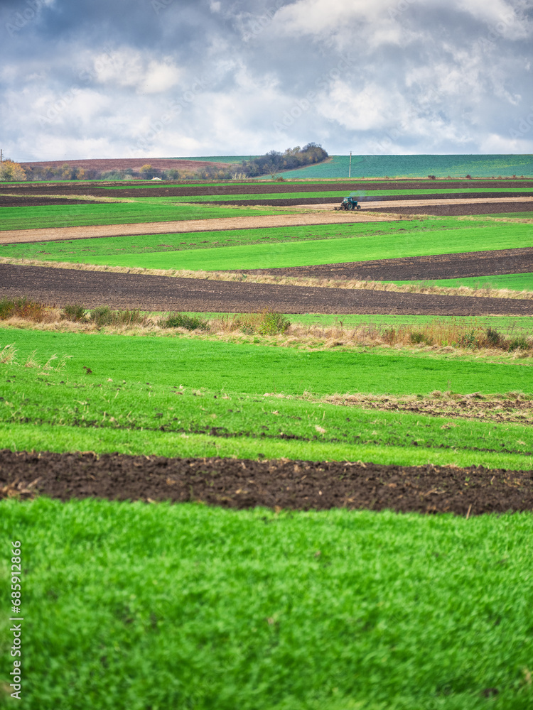 view to tractor in agriculture fields with green wheat and lines of ground