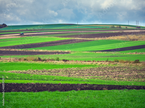 farm landscape with green fields and geometric lines from green wheat and ground