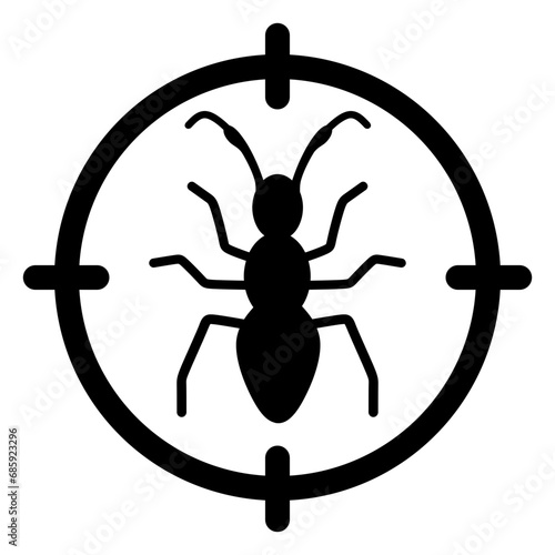 insect