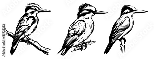 Kingfisher Silhouettes Set