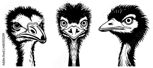 Set of ostrich head silhouettes