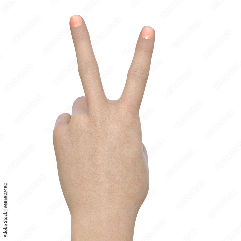 パーツモデル Vサインをする女性の手の甲の3Dイラスト アイコン素材 