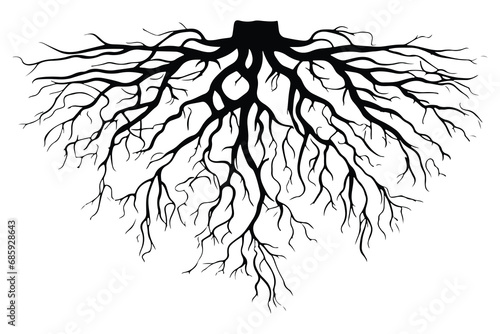 Root of the tree. Black silhouette. Plant root system. Realistic black roots illustration. A Monochrome Illustration of Nature's Strength and Growth. Isolated on white background. Vector illustration. photo