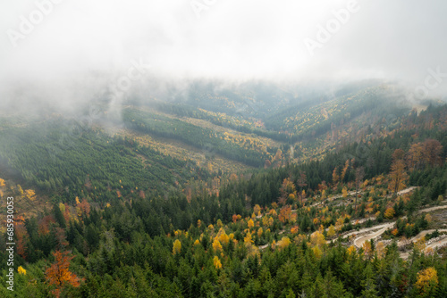 Trail in the clouds in Dolní Morava in Kralovsky Sneznik mountains in Czech Republic. Sky Walk, Sky Bridge