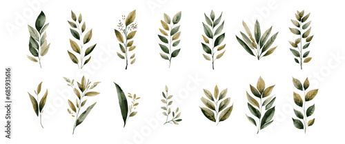 Enhance Your Designs with a Tranquil Botanical Vibe: Vector Illustration Set of Greenery in Soothing Shades.