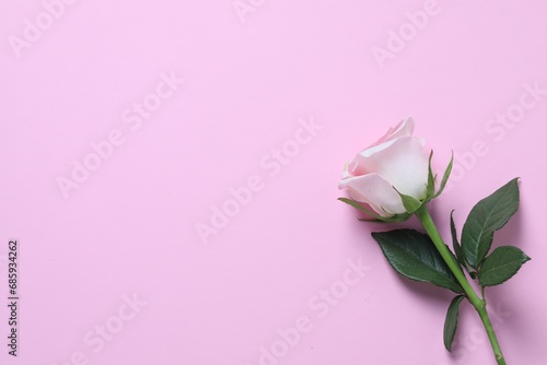Beautiful rose on light pink background, top view. Space for text