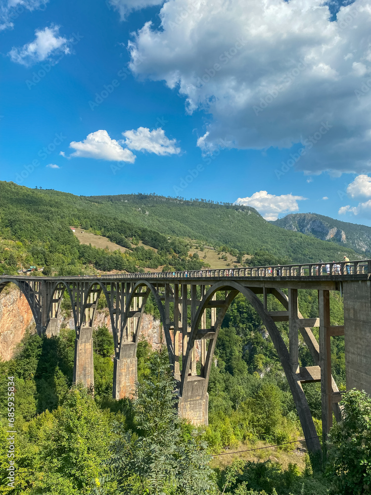 Djurdjevica Tara Bridge is a concrete arch bridge over the Tara River Djurdjevica Tara Bridge is a concrete arch bridge over the Tara River