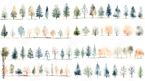 Set of watercolor style illustration of pine tree. Cartoon illustration isolated on white background.