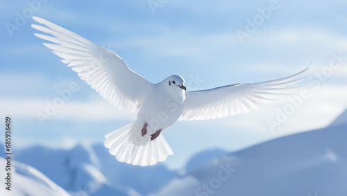 Close-up of a snow petrel soaring gracefully in the Antarctic air