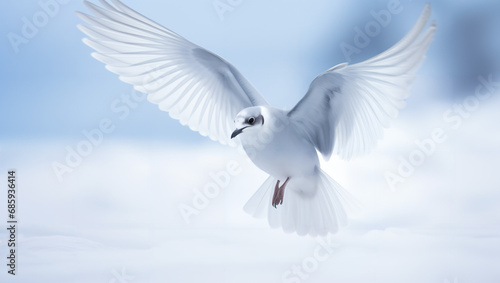 Close-up of a snow petrel soaring gracefully in the Antarctic air