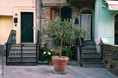 Fototapeta Naklejka Na Ścianę i Meble -  Front of the buildings in residential neighborhood of italian town.