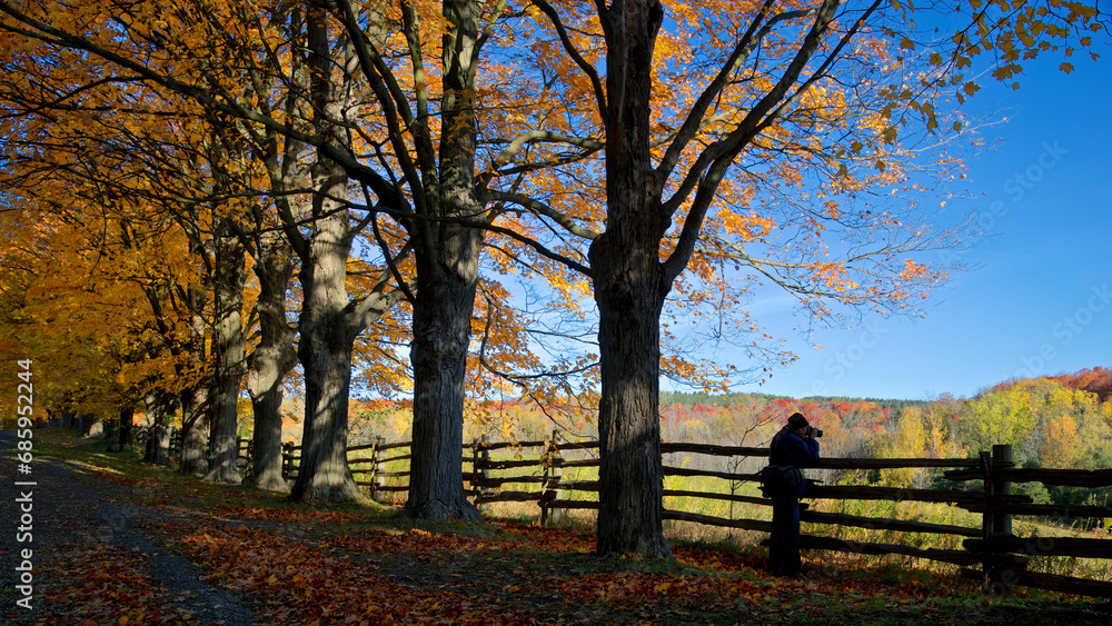 Silhouette of the photographer in taking picture of the autumn leaf colour