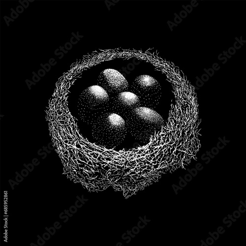 bird nest with eggs hand drawing vector isolated on black background.