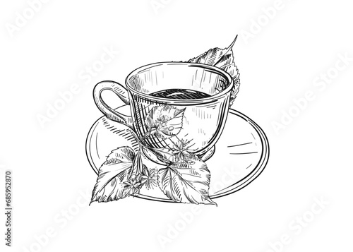 Hand drawn sketch black and white illustration cup of tea linden, leaf, flowers. Vector illustration. Elements in graphic style label, sticker, menu, package. Engraved style.