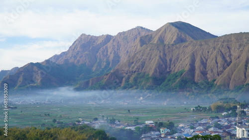 Savana