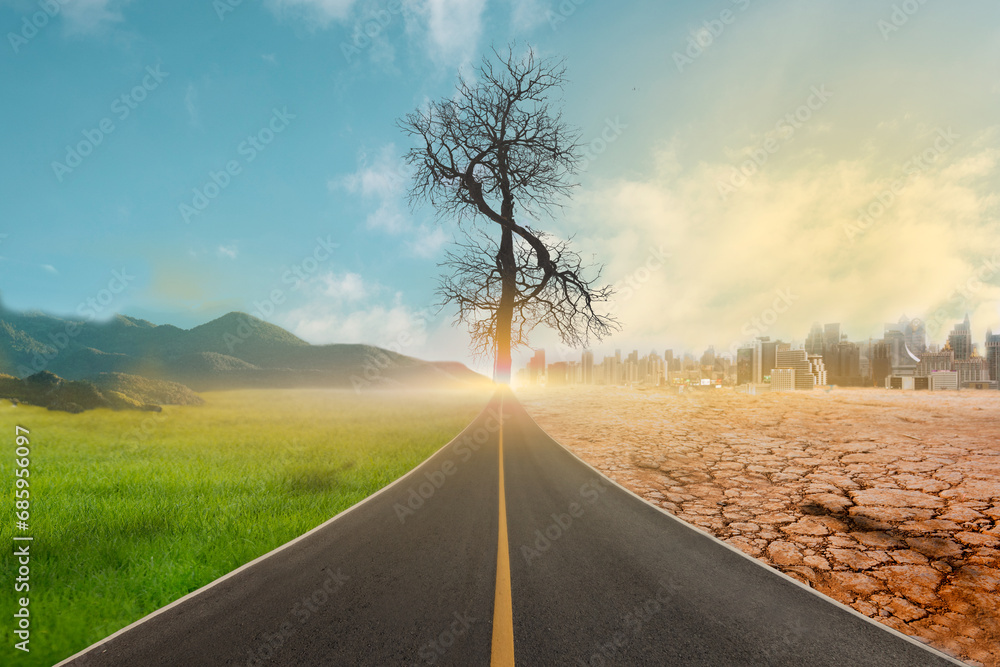 One side of the road shows the green environment and the other side shows the dryness, broken soil and city. Dry tree in shape of dollar. One side of the road shows the green environment and the other side shows the dryness, broken soil and city. Dry tree in shape of dollar.