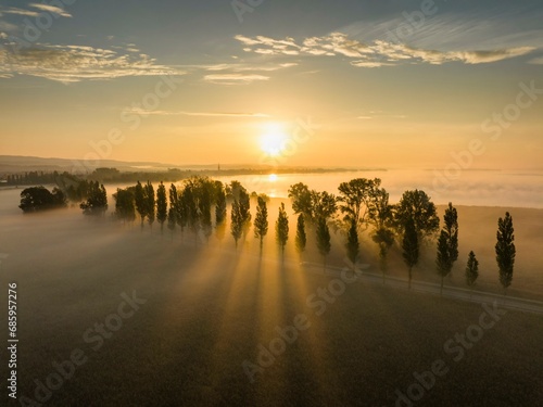 Aerial view of the Radolfzell Aachried with the poplar avenue on the Mooser Damm at sunrise and ground fog, on the horizon the town of Radolfzell on Lake Constance with the Mettnau peninsula, on the photo