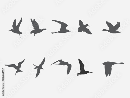 flying arctic tundra bird vector silhouette .jaeger bird black shadow illustration  photo