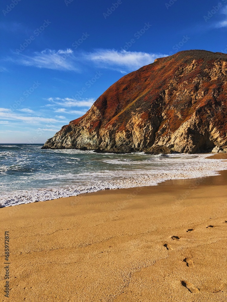 Summer Day at Gray Whale Cove