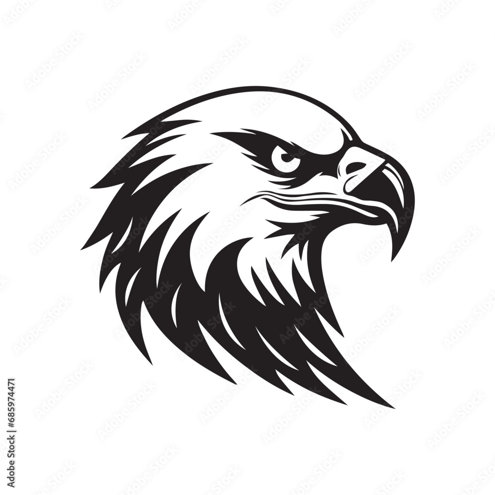Eagle Head Vector illustration Eagle Head Vector illustration