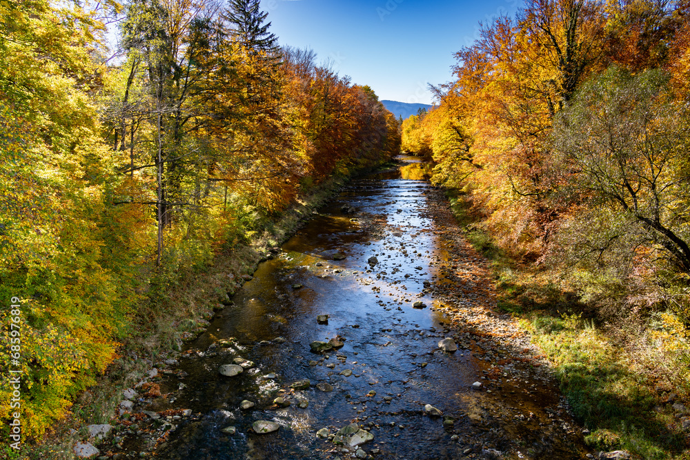 Farbenfrohe Herbst Natur am Morgen