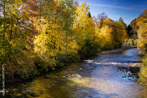 Farbenfrohe Herbst Natur am Morgen