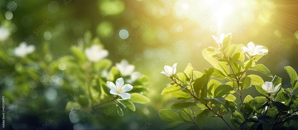 The blooming flowers, green nature, and shining sun create a beautiful scene.
