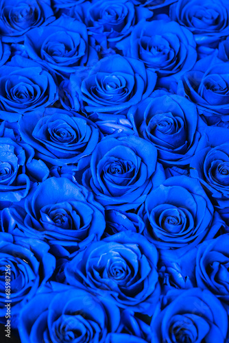 Macro closeup of blue-dyed roses bunched together in a beautiful bouquet.