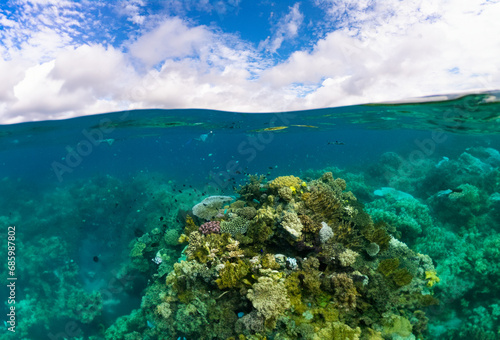 Clear shallow turquoise tropical water and vibrant coral reef teeming with exotic marine life. snorkelers can be seen in the distance at Kioa Island, Fiji © Scope Images