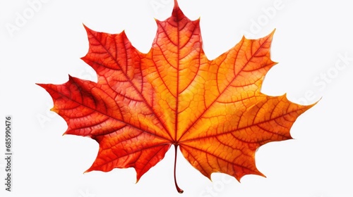 Autumns Palette Maple Leaf in Fall Colors. Generative AI
