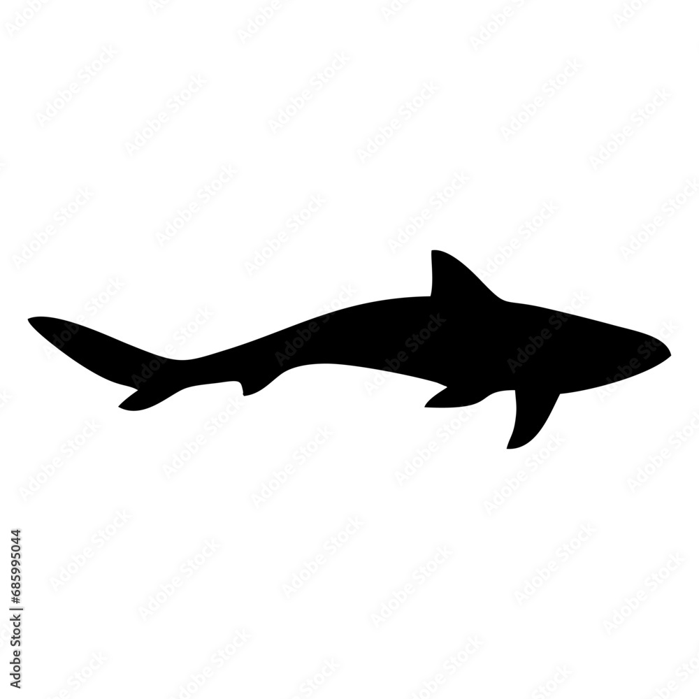silhouette of a shark