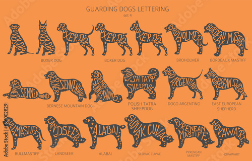 Dog breeds silhouettes with lettering, simple style clipart. Guardian dogs and service dog collection photo