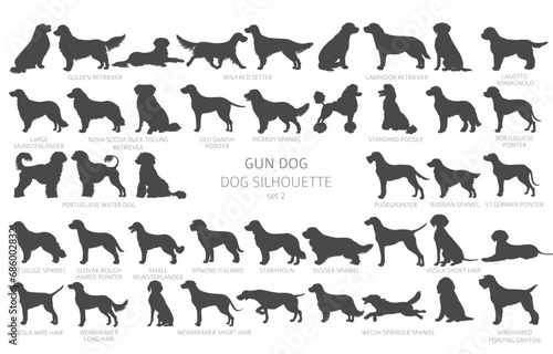 Dog breeds silhouettes, simple style clipart. Hunting dogs, Gun dogs collection photo