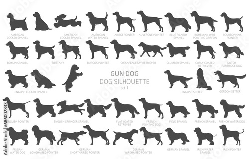Dog breeds silhouettes, simple style clipart. Hunting dogs, Gun dogs collection photo