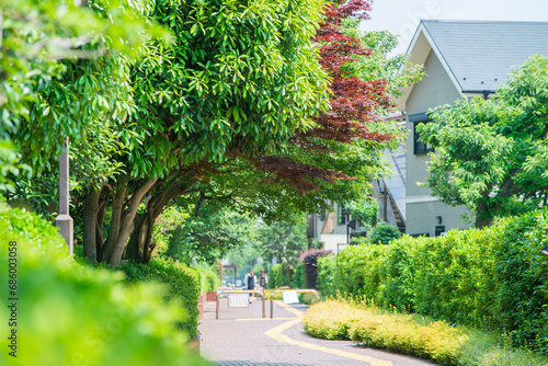 住宅街の小道