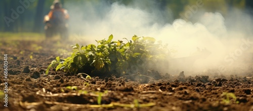 Rural areas experience smoke dust issues due to burning grass and leaf scraps during garden and vegetable garden maintenance.