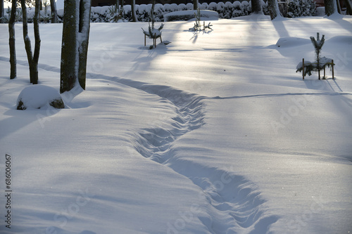 Deep layer of snow and tracks imprinted on the snow