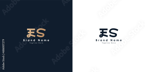 ES logo design in Chinese letters photo